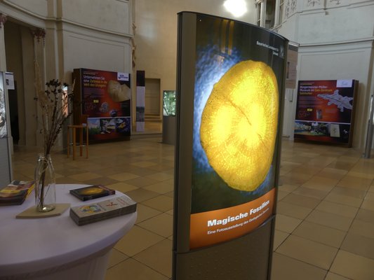Teile der Ausstellung des Informations- und Umweltzentrum des Naturpark Altmühltal in Eichstätt werden gezeigt